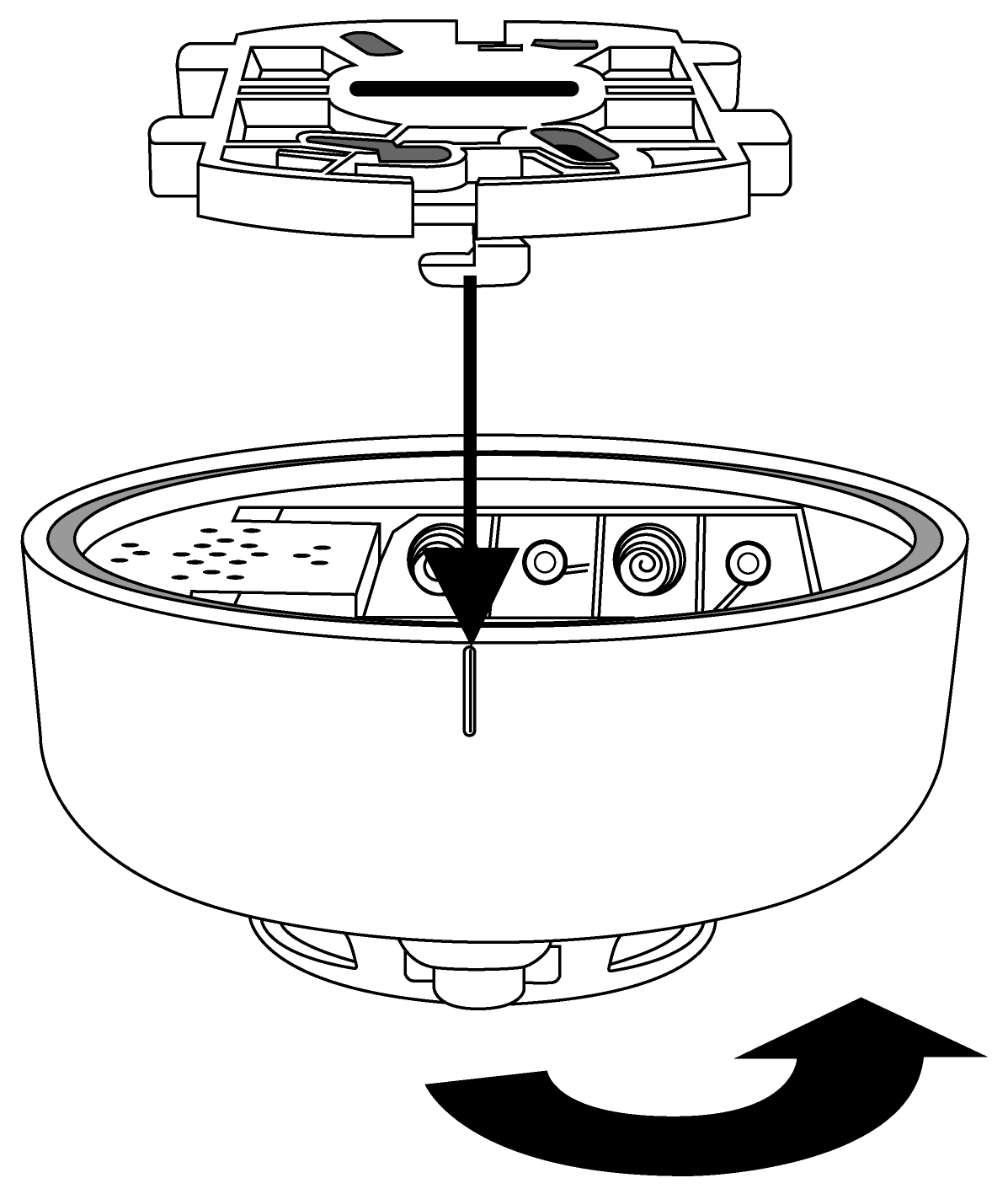 SD-7_4